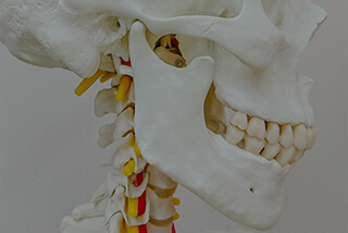 日常の臨床で気が付いたこと ―顎の吊性系、置性系―