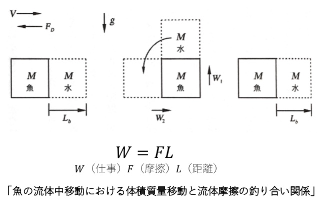 生理反応重力場の理論 についての試論 Vol ３ 一般財団法人構医研究機構